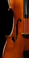 Cello Sales Repairs Lessons Batavia Geneva